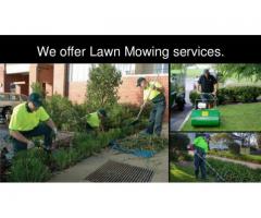 Lawn Mowing Craigieburn