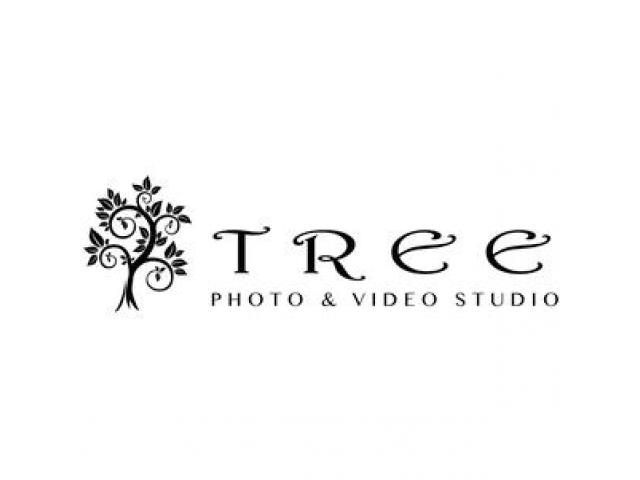 Tree Photo & Video Studio (Wedding Photographer & Videographer)