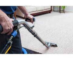 Fantastic Carpet Cleaning