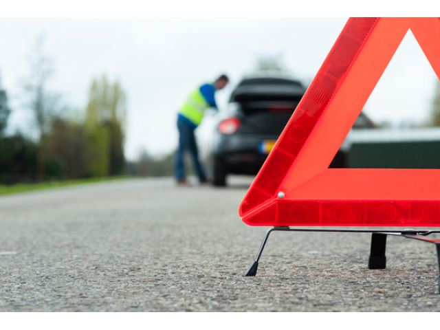 Roadside Response